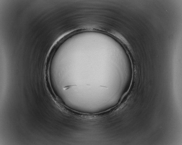 X0000086781020200705041524