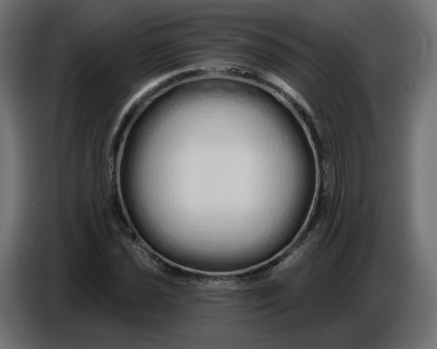 X0000086781021200705041524