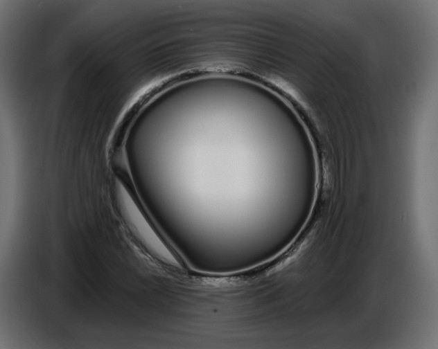 X0000086781022200705041524