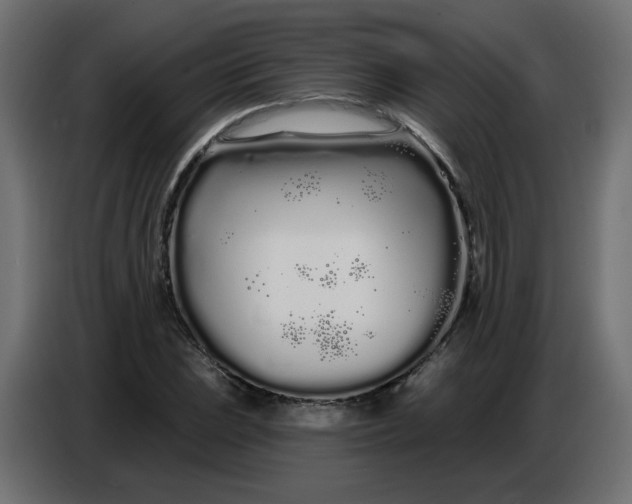 X0000086781023200705041524