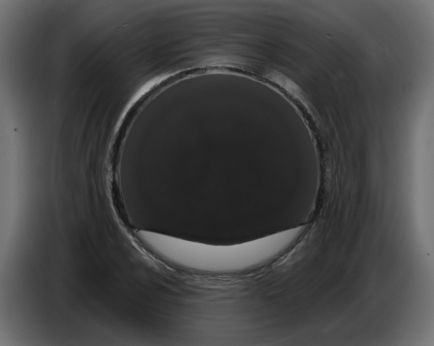 X0000086781024200705041524