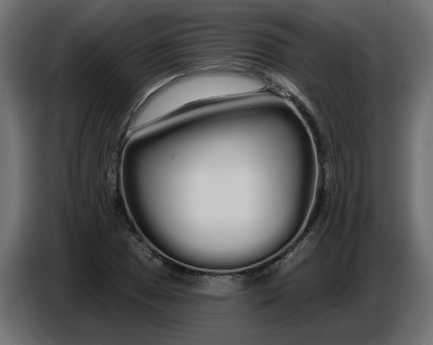 X0000086781025200705041524