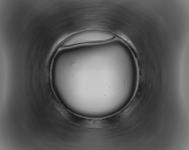 X0000086781027200705041524