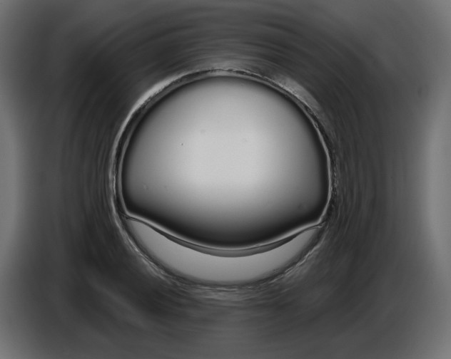 X0000086781028200705041524