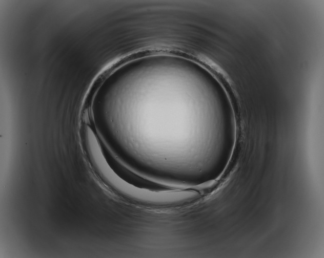 X0000086781029200705041524