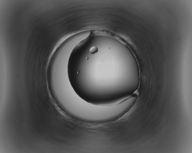 X0000086781030200705041524