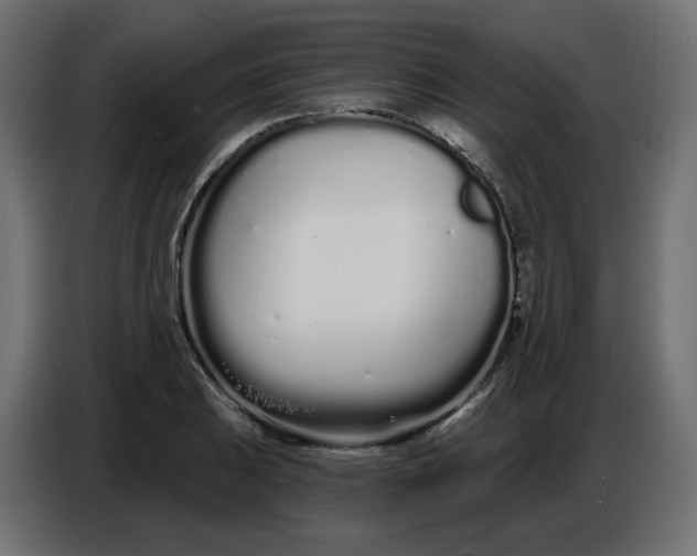 X0000086781031200705041524