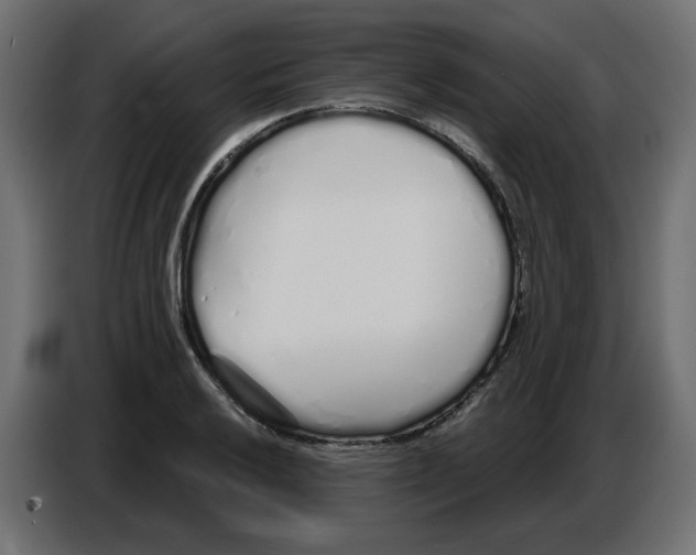 X0000086781032200705041524