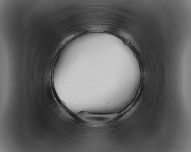 X0000086781033200705041524