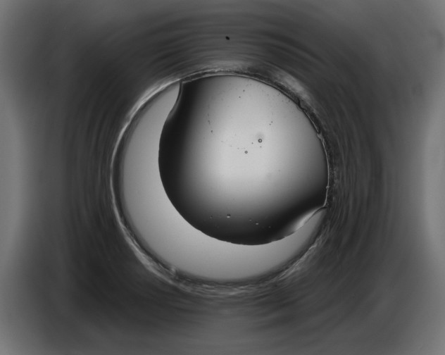 X0000086781034200705041524