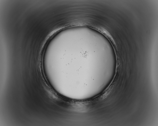 X0000086781035200705041524