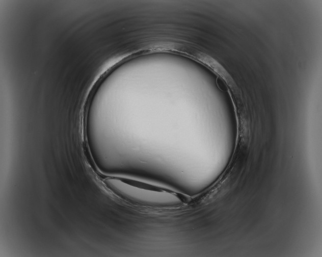 X0000086781036200705041524