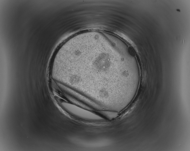 X0000086781037200705041524