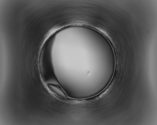 X0000086781038200705041524