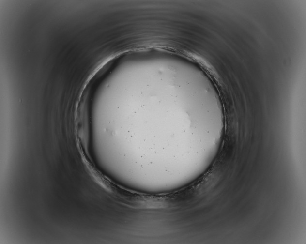 X0000086781039200705041524