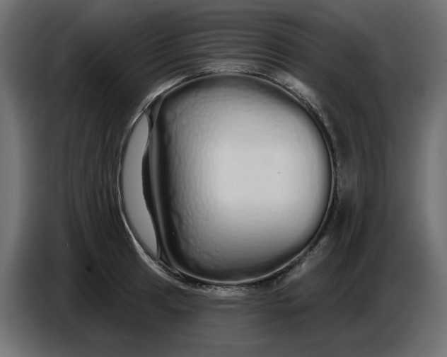 X0000086781041200705041524