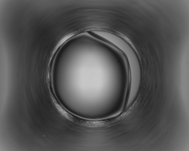 X0000086781042200705041524