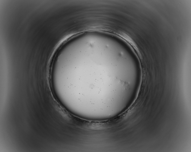 X0000086781043200705041524