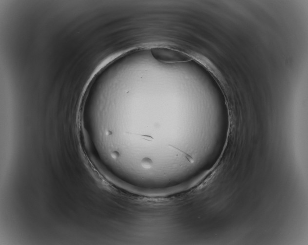 X0000086781044200705041524