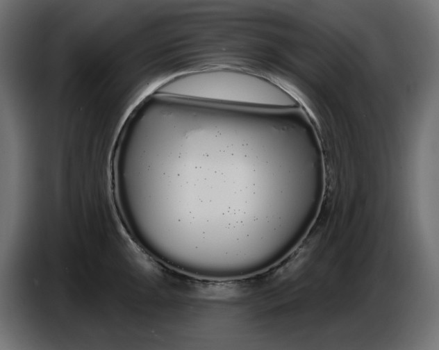 X0000086781047200705041524