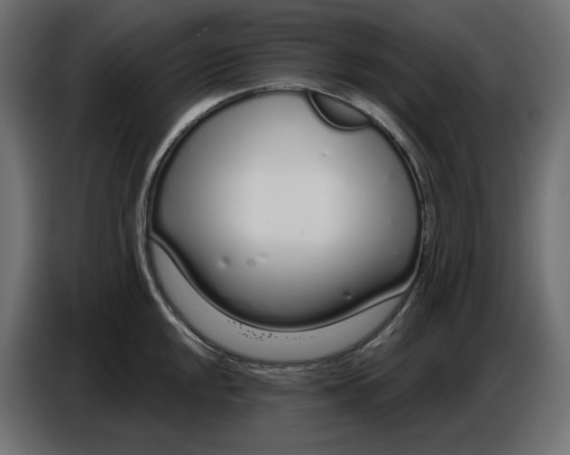 X0000086781048200705041524