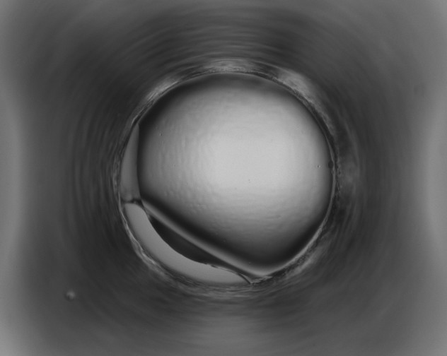 X0000086781049200705041524