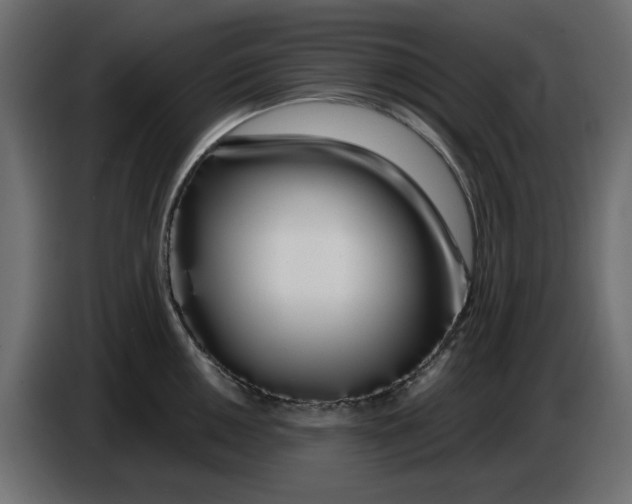 X0000086781050200705041524