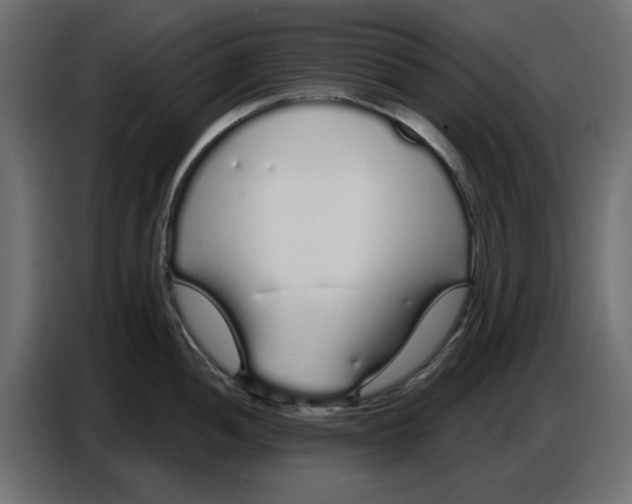 X0000086781052200705041524