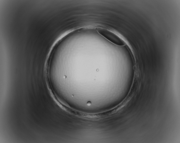 X0000086781053200705041524