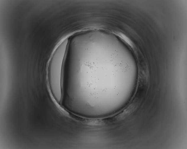 X0000086781055200705041524