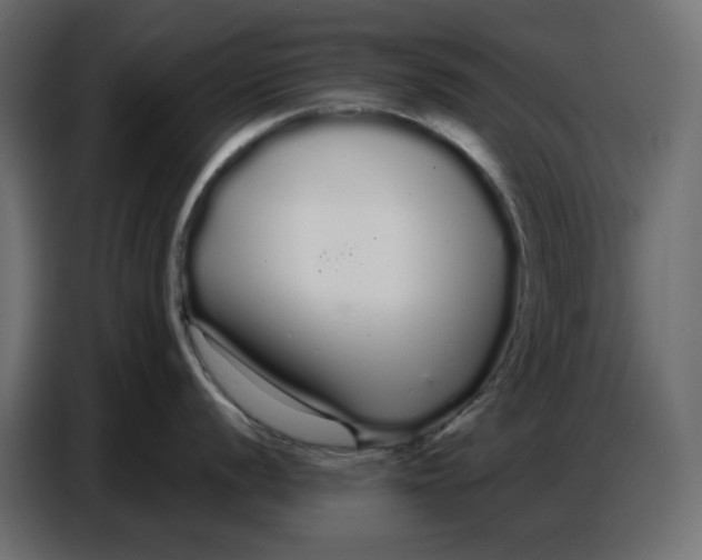 X0000086781056200705041524