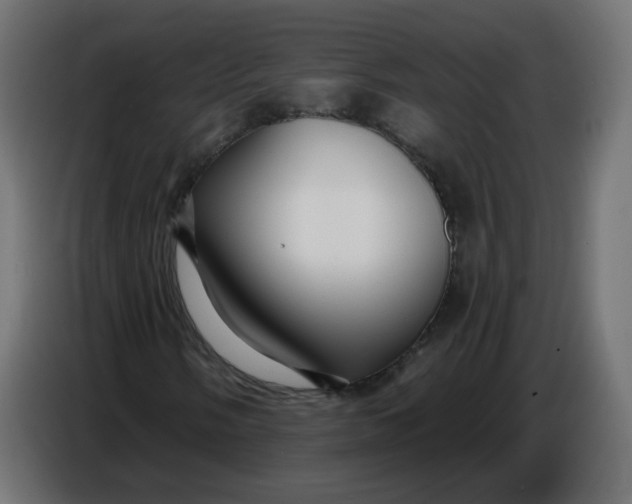 X0000086781058200705041524