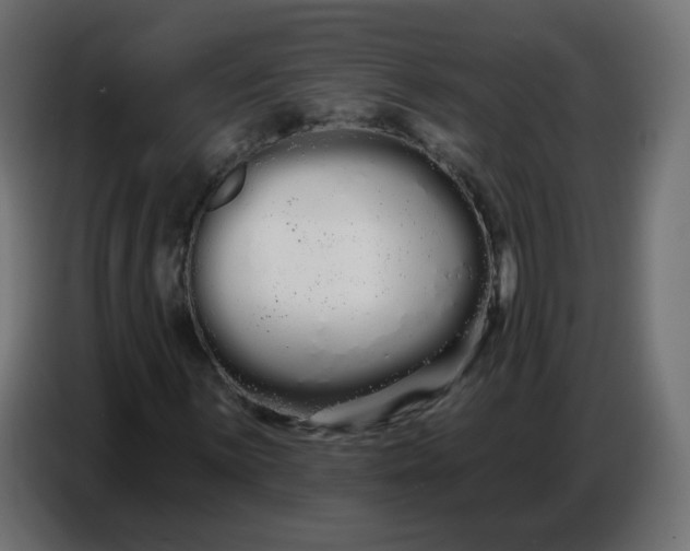 X0000086781059200705041523