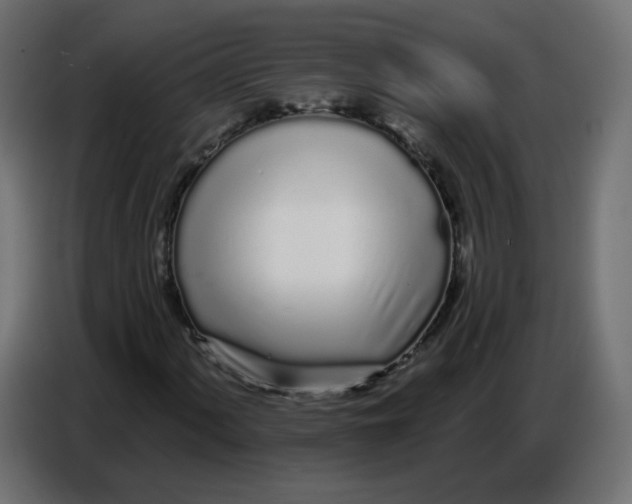 X0000086781060200705041523