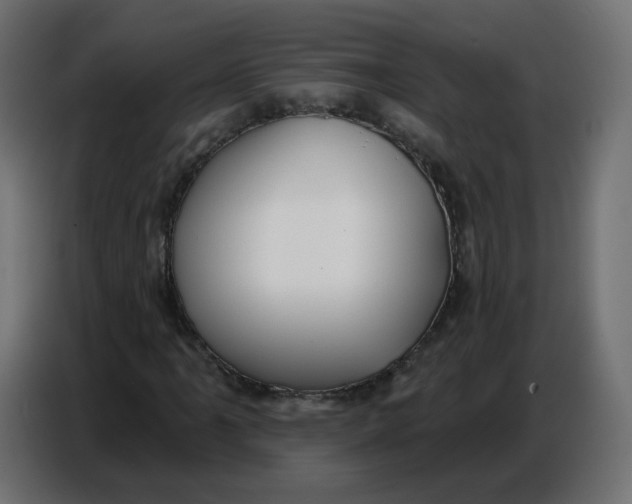 X0000086781061200705041523