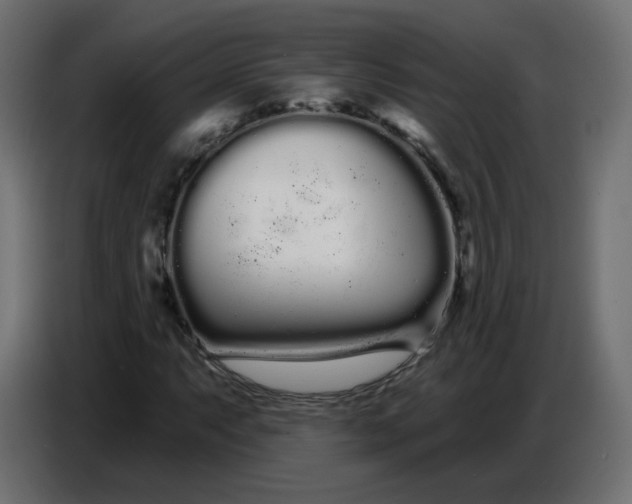 X0000086781063200705041523