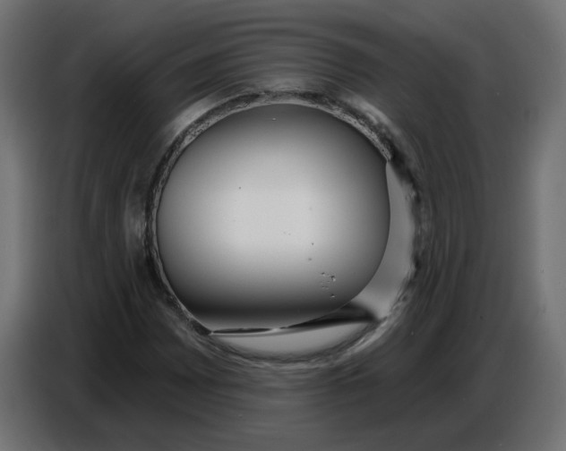 X0000086781065200705041523