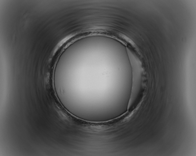 X0000086781066200705041523