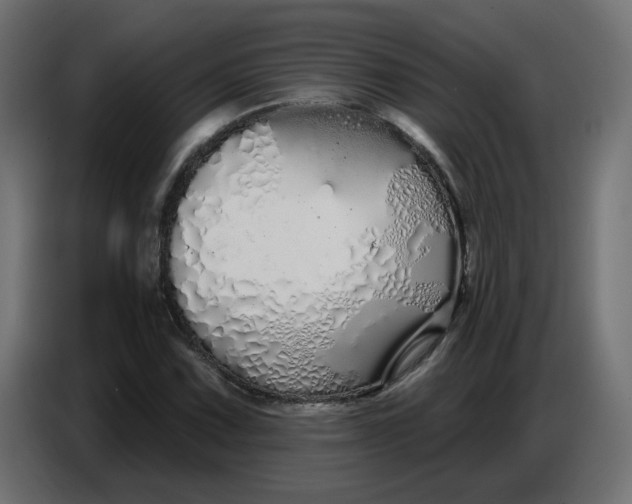 X0000086781067200705041523