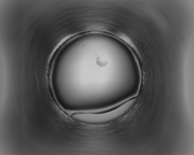 X0000086781068200705041523