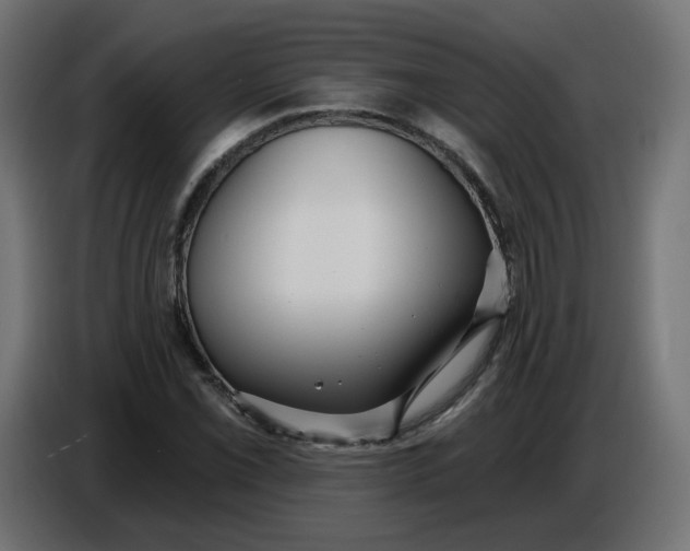 X0000086781069200705041523