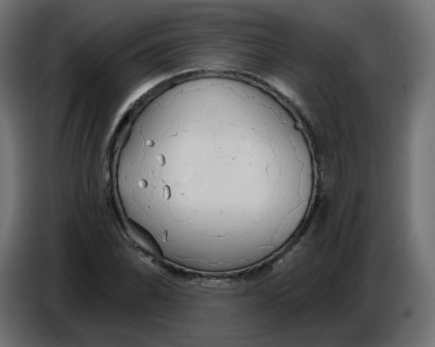 X0000086781070200705041523