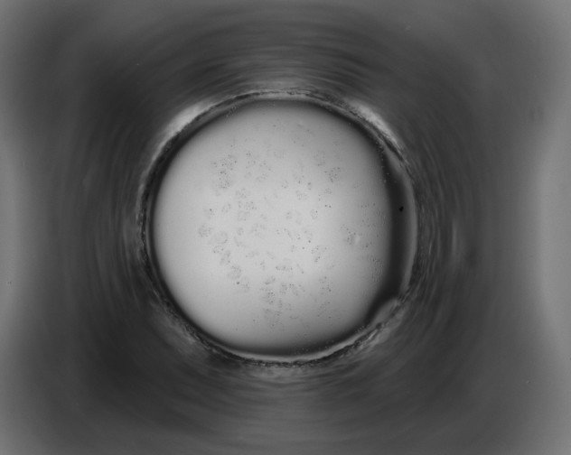 X0000086781071200705041523