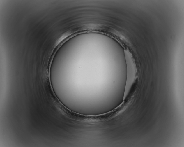 X0000086781073200705041523