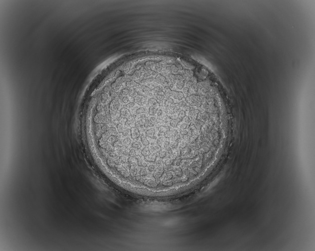 X0000086781074200705041523