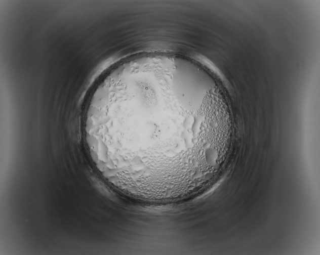 X0000086781075200705041523