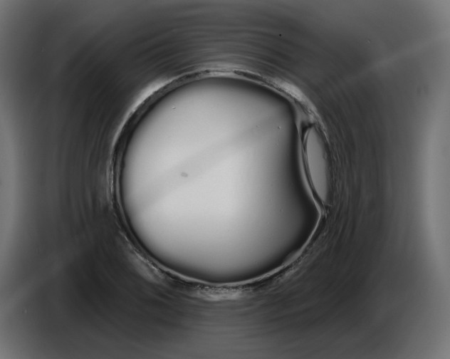 X0000086781076200705041523