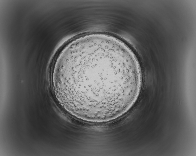 X0000086781078200705041523