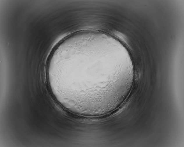 X0000086781079200705041523