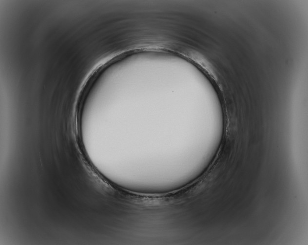 X0000086781080200705041523